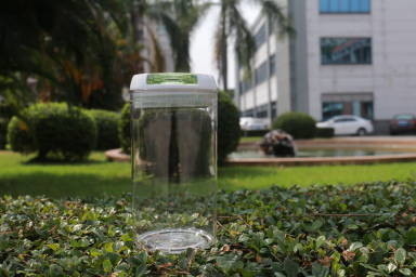 Recipiente di plastica riciclabile approvato dalla FDA con il coperchio chiudibile a chiave BPA liberamente